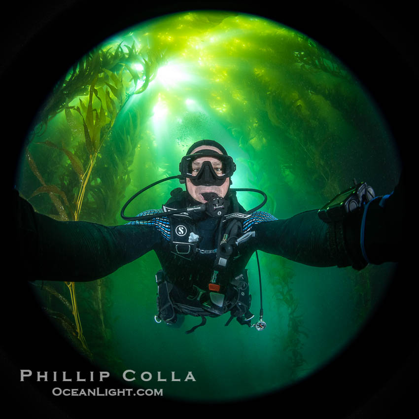 Self portrait, Kelp Forest, Catalina Island. California, USA, natural history stock photograph, photo id 38479