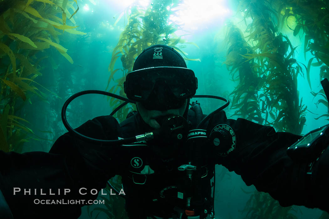 Self portrait in kelp forest, San Clemente Island. California, USA, natural history stock photograph, photo id 37127