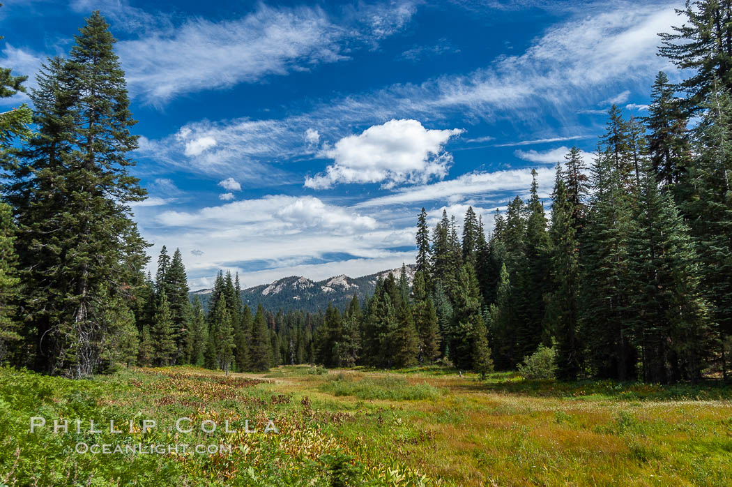 Long Meadow in late summer. Sequoia Kings Canyon National Park, California, USA, natural history stock photograph, photo id 09899