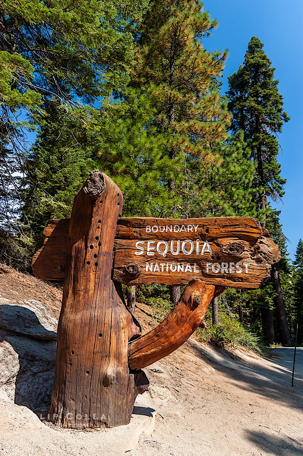 Sequoia National Forest entry sign., natural history stock photograph, photo id 09903