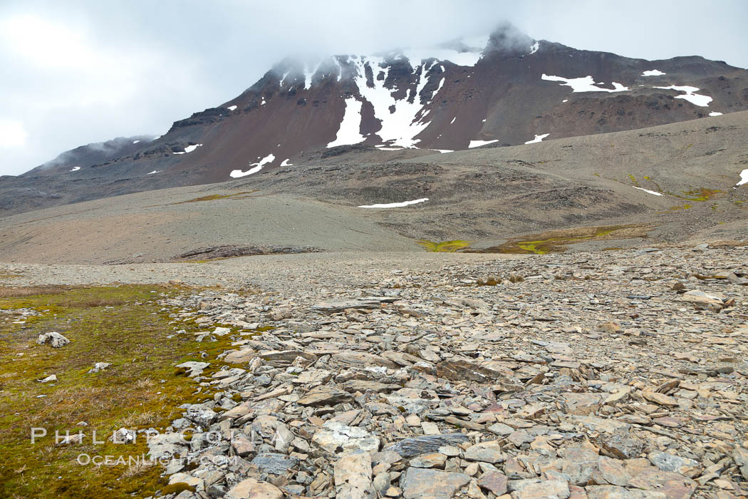 Shale covered rocky slope, near the pass over South Georgia Island between Fortuna Bay and Stromness Bay., natural history stock photograph, photo id 24590