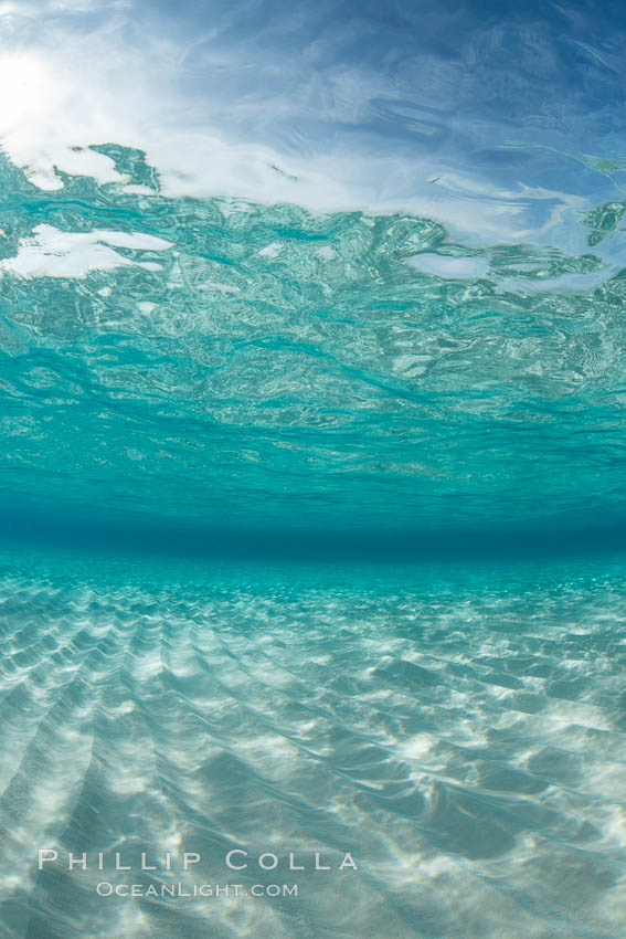 Shallow white sand, Grand Caymand Island. Cayman Islands, natural history stock photograph, photo id 32094