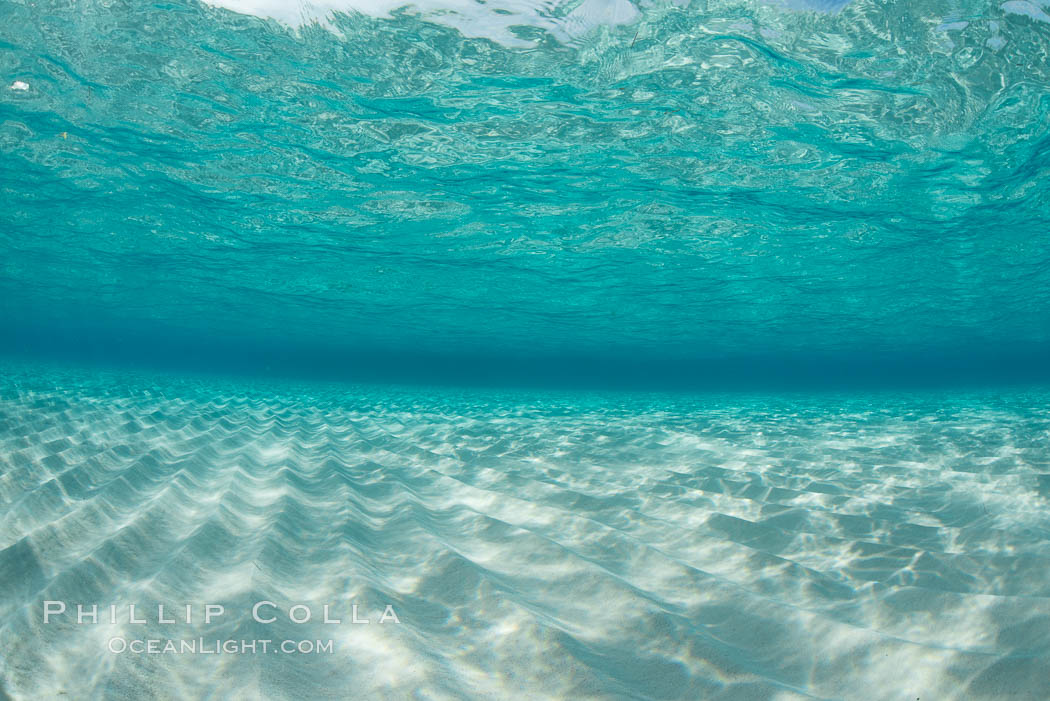 Shallow white sand, Grand Caymand Island. Cayman Islands, natural history stock photograph, photo id 32092