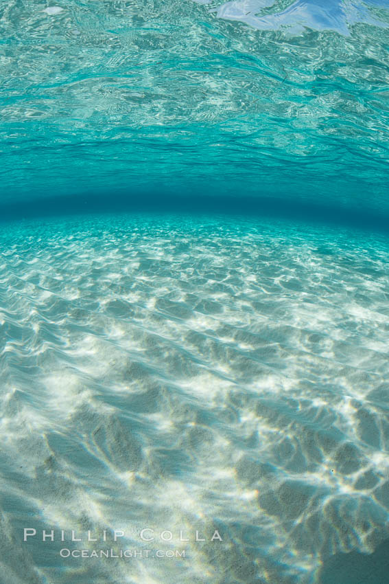 Shallow white sand, Grand Caymand Island. Cayman Islands, natural history stock photograph, photo id 32093