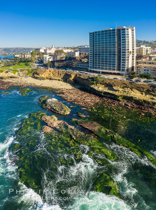 Shell Beach Reef Exposed at Extreme Low Tide, La Jolla, California