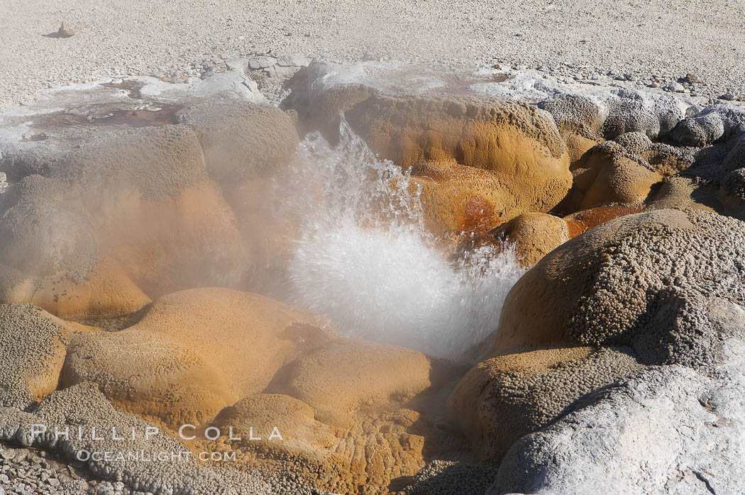 Shell Spring (Shell Geyser) erupts almost continuously.   The geysers opening resembles the two halves of a bivalve seashell, hence its name.  Biscuit Basin. Yellowstone National Park, Wyoming, USA, natural history stock photograph, photo id 13499