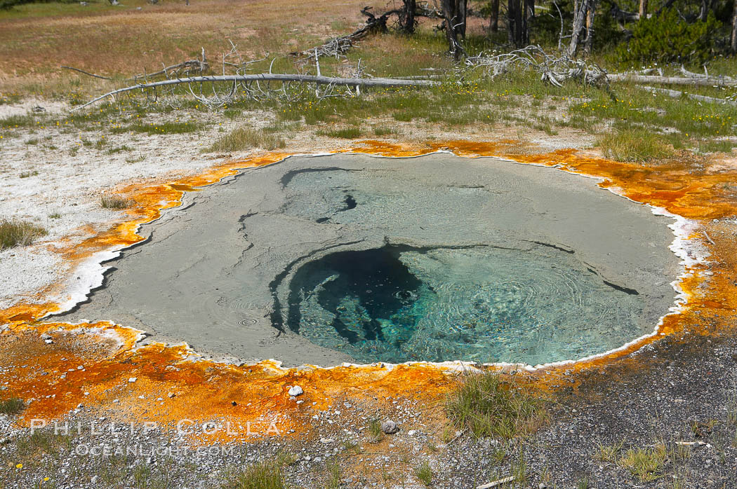 Shield Spring. Upper Geyser Basin, Yellowstone National Park, Wyoming, USA, natural history stock photograph, photo id 13410