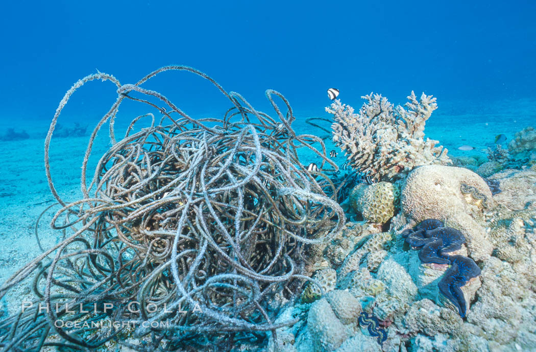 Debris from wreck of F/V Jin Shiang Fa, lagoon talus slope. Rose Atoll National Wildlife Sanctuary, American Samoa, USA, natural history stock photograph, photo id 00799