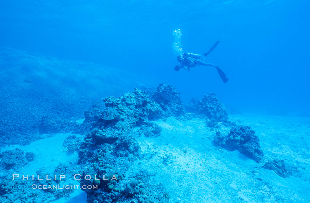 Debris from wreck of F/V Jin Shiang Fa, lagoon talus slope. Rose Atoll National Wildlife Sanctuary, American Samoa, USA, natural history stock photograph, photo id 00801