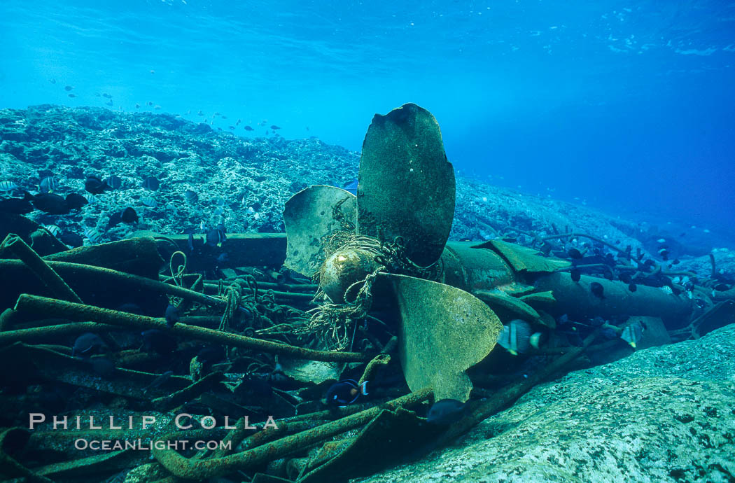 Propellor and debris, wreck of F/V Jin Shiang Fa. Rose Atoll National Wildlife Sanctuary, American Samoa, USA, natural history stock photograph, photo id 00810