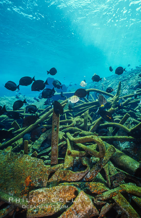 Debris,  wreck of F/V Jin Shiang Fa. Rose Atoll National Wildlife Sanctuary, American Samoa, USA, natural history stock photograph, photo id 00814