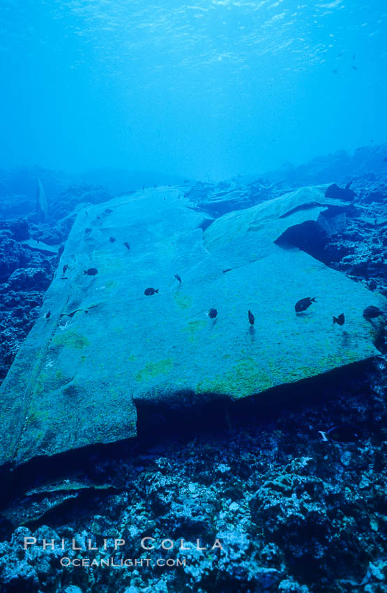 Hull plate,  wreck of F/V Jin Shiang Fa. Rose Atoll National Wildlife Sanctuary, American Samoa, USA, natural history stock photograph, photo id 00808
