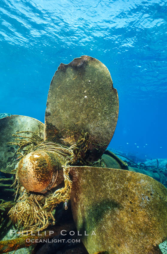 Propellor and debris, wreck of F/V Jin Shiang Fa. Rose Atoll National Wildlife Sanctuary, American Samoa, USA, natural history stock photograph, photo id 00811