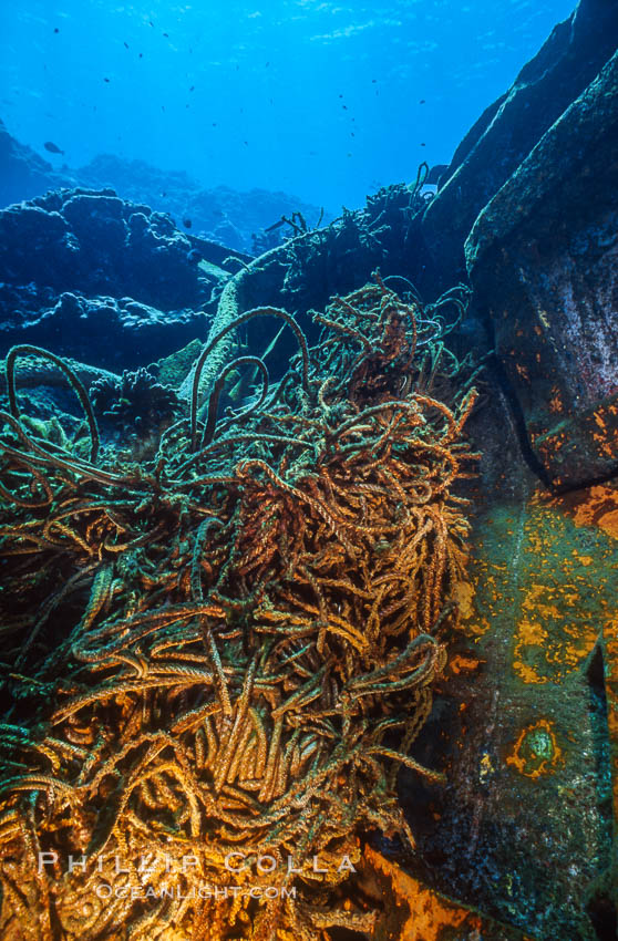 Debris, wreck of F/V Jin Shiang Fa. Rose Atoll National Wildlife Sanctuary, American Samoa, USA, natural history stock photograph, photo id 00823