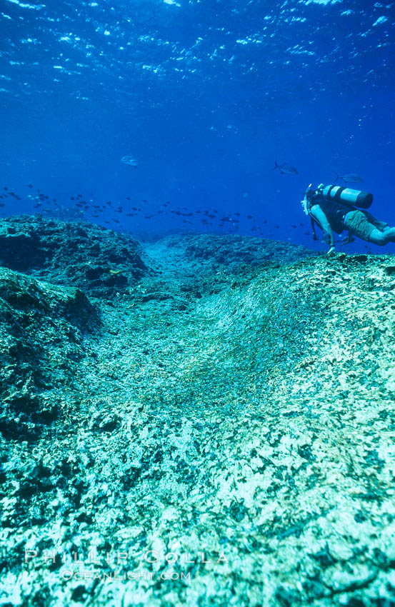 Keel scar caused by F/V Jin Shiang Fa to coralline algae reef. Rose Atoll National Wildlife Sanctuary, American Samoa, USA, natural history stock photograph, photo id 00821