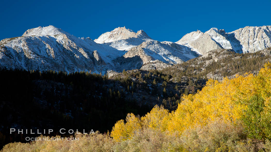 Sierra Nevada mountains and aspen trees, fall colors reflected in the still waters of North Lake. Bishop Creek Canyon Sierra Nevada Mountains, California, USA, Populus tremuloides, natural history stock photograph, photo id 26068