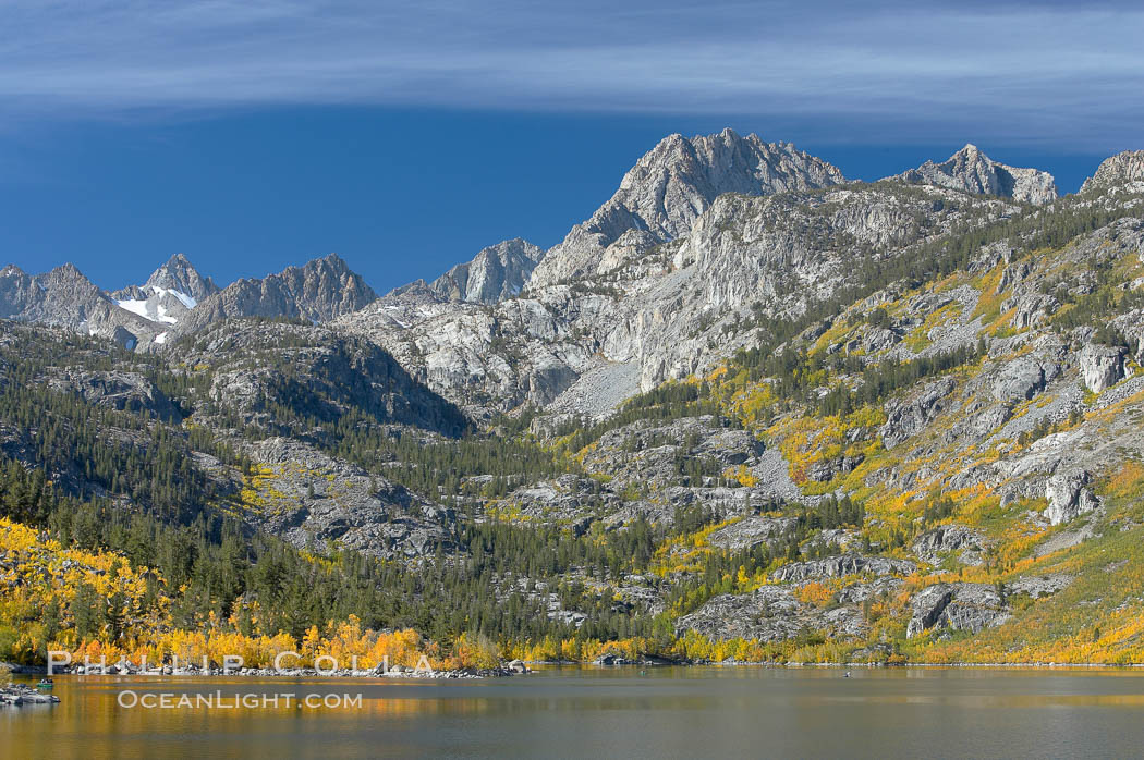 Aspen trees display Eastern Sierra fall colors, Lake Sabrina, Bishop Creek Canyon. Bishop Creek Canyon, Sierra Nevada Mountains, California, USA, Populus tremuloides, natural history stock photograph, photo id 17506