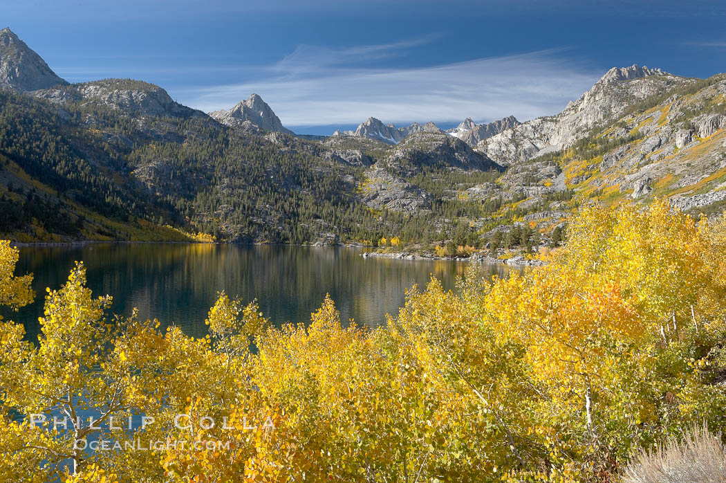 Aspen trees display Eastern Sierra fall colors, Lake Sabrina, Bishop Creek Canyon. Bishop Creek Canyon, Sierra Nevada Mountains, California, USA, Populus tremuloides, natural history stock photograph, photo id 17546