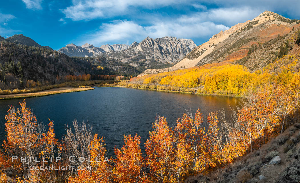 Sierra Nevada Fall Colors, North Lake, Bishop Creek Canyon, Populus tremuloides, Bishop Creek Canyon, Sierra Nevada Mountains Sierra Nevada Fall Colors, North Lake, Bishop Creek Canyon, Populus tremuloides, Bishop Creek Canyon, Sierra Nevada Mountains