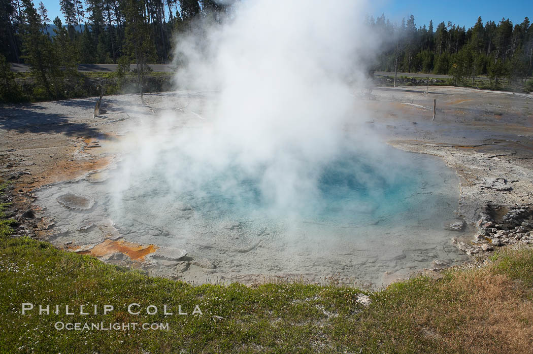 Silex Spring gets its name from the silica which is prevalent in the surrounding volcanic rocks and which is dissolved by the superheated water of Silex Spring.  Silex is latin for silica.  Lower Geyser Basin. Yellowstone National Park, Wyoming, USA, natural history stock photograph, photo id 13524