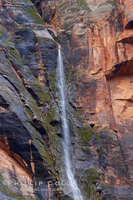 A tiny ephemeral waterfall in Zion Canyon near Weeping Rock, hardly more than a trickle, lasted for a short while following spring rains.  Zion Canyon. Zion National Park, Utah, USA, natural history stock photograph, photo id 12466