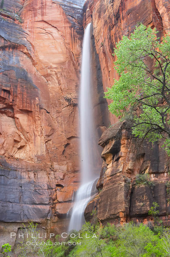 Waterfall at Temple of Sinawava during peak flow following spring rainstorm.  Zion Canyon. Zion National Park, Utah, USA, natural history stock photograph, photo id 12468