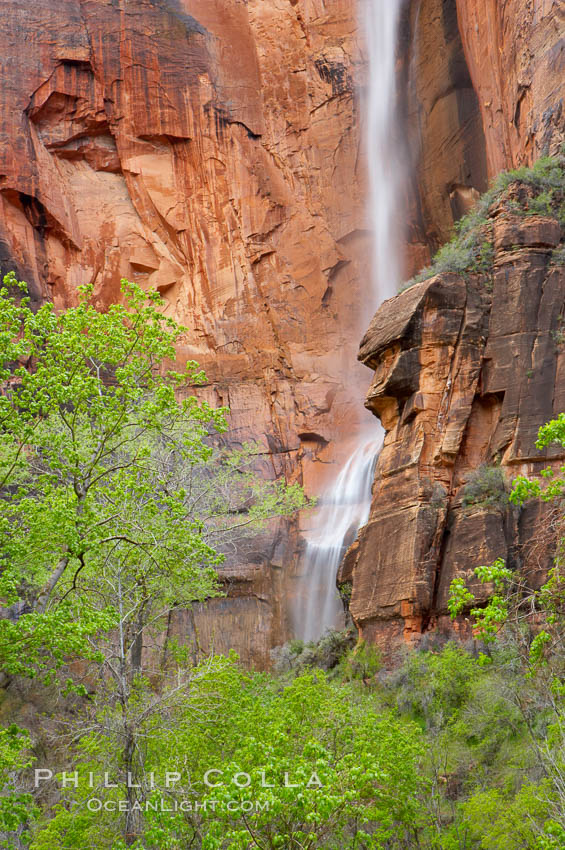 Waterfall at Temple of Sinawava during peak flow following spring rainstorm.  Zion Canyon. Zion National Park, Utah, USA, natural history stock photograph, photo id 12476