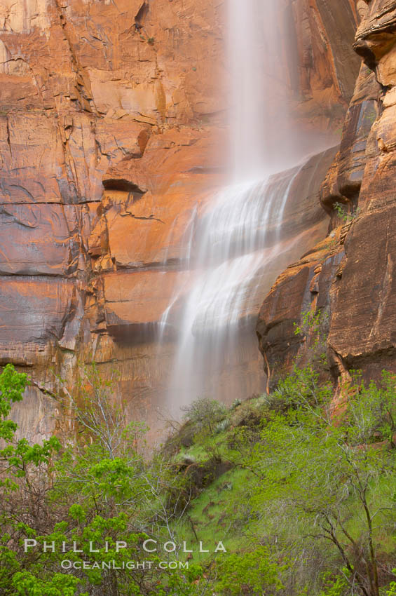 Waterfall at Temple of Sinawava during peak flow following spring rainstorm.  Zion Canyon. Zion National Park, Utah, USA, natural history stock photograph, photo id 12455