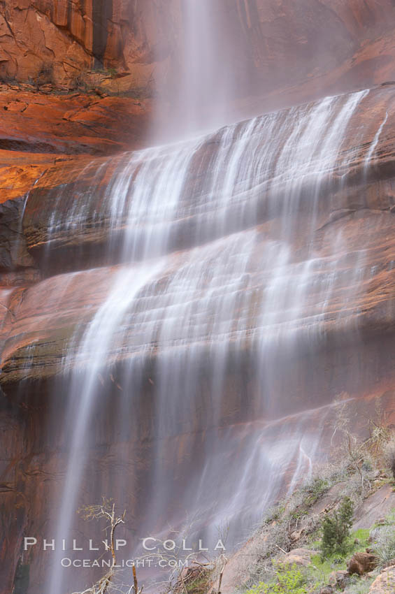 Waterfall at Temple of Sinawava during peak flow following spring rainstorm.  Zion Canyon. Zion National Park, Utah, USA, natural history stock photograph, photo id 12479