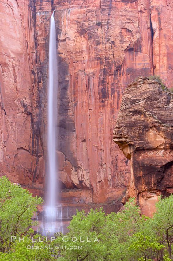 Waterfall at Temple of Sinawava during peak flow following spring rainstorm.  Zion Canyon. Zion National Park, Utah, USA, natural history stock photograph, photo id 12449