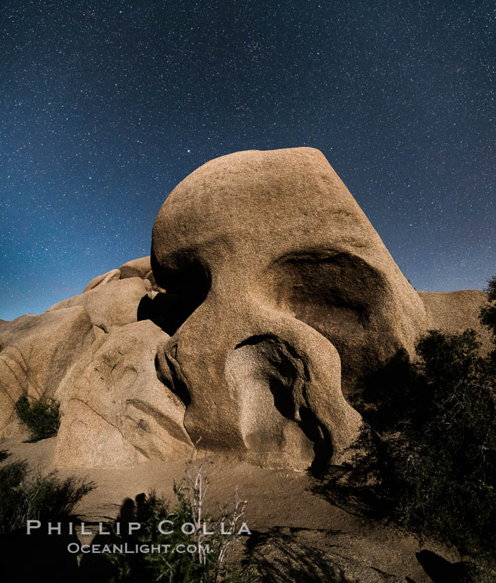 Skull Rock and stars at night. Joshua Tree National Park, California, USA, natural history stock photograph, photo id 29188