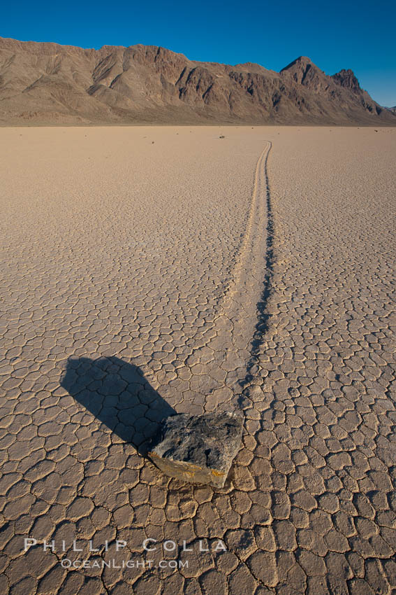 A sliding rock of the Racetrack Playa.  The sliding rocks, or sailing stones, move across the mud flats of the Racetrack Playa, leaving trails behind in the mud.  The explanation for their movement is not known with certainty, but many believe wind pushes the rocks over wet and perhaps icy mud in winter. Death Valley National Park, California, USA, natural history stock photograph, photo id 25322