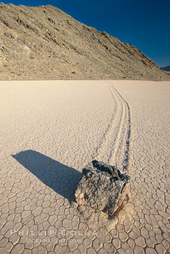 A sliding rock of the Racetrack Playa.  The sliding rocks, or sailing stones, move across the mud flats of the Racetrack Playa, leaving trails behind in the mud.  The explanation for their movement is not known with certainty, but many believe wind pushes the rocks over wet and perhaps icy mud in winter. Death Valley National Park, California, USA, natural history stock photograph, photo id 25330