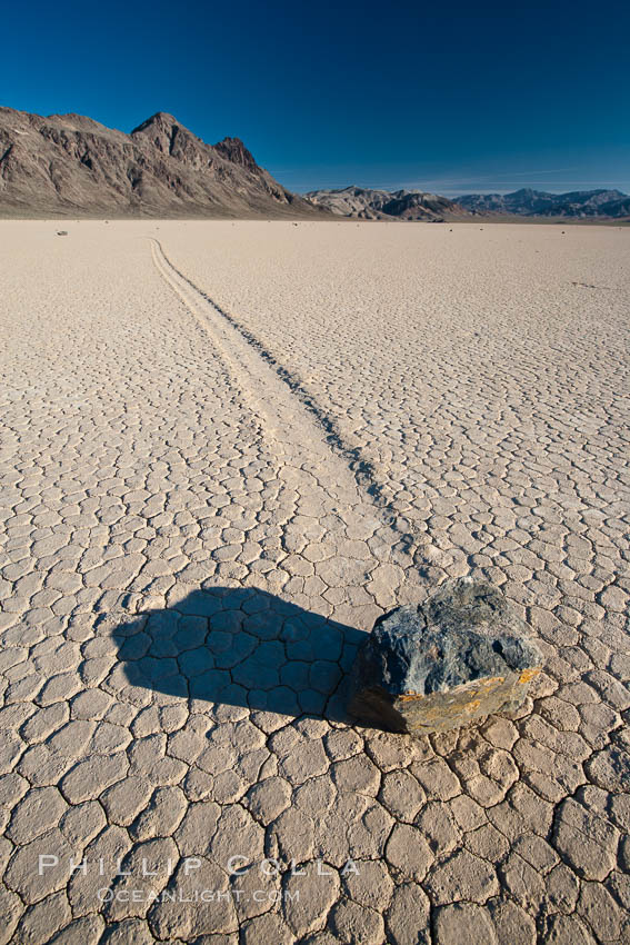 A sliding rock of the Racetrack Playa.  The sliding rocks, or sailing stones, move across the mud flats of the Racetrack Playa, leaving trails behind in the mud.  The explanation for their movement is not known with certainty, but many believe wind pushes the rocks over wet and perhaps icy mud in winter. Death Valley National Park, California, USA, natural history stock photograph, photo id 25239
