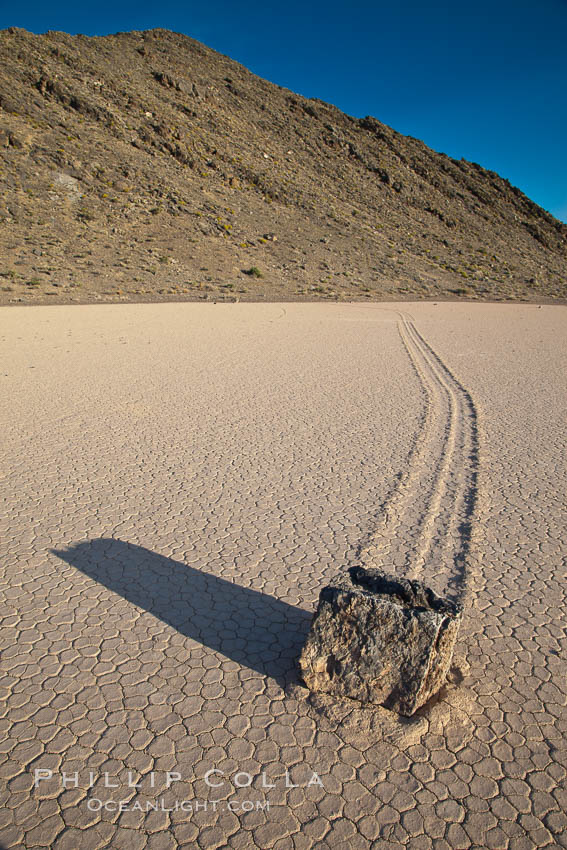 A sliding rock of the Racetrack Playa.  The sliding rocks, or sailing stones, move across the mud flats of the Racetrack Playa, leaving trails behind in the mud.  The explanation for their movement is not known with certainty, but many believe wind pushes the rocks over wet and perhaps icy mud in winter. Death Valley National Park, California, USA, natural history stock photograph, photo id 25243