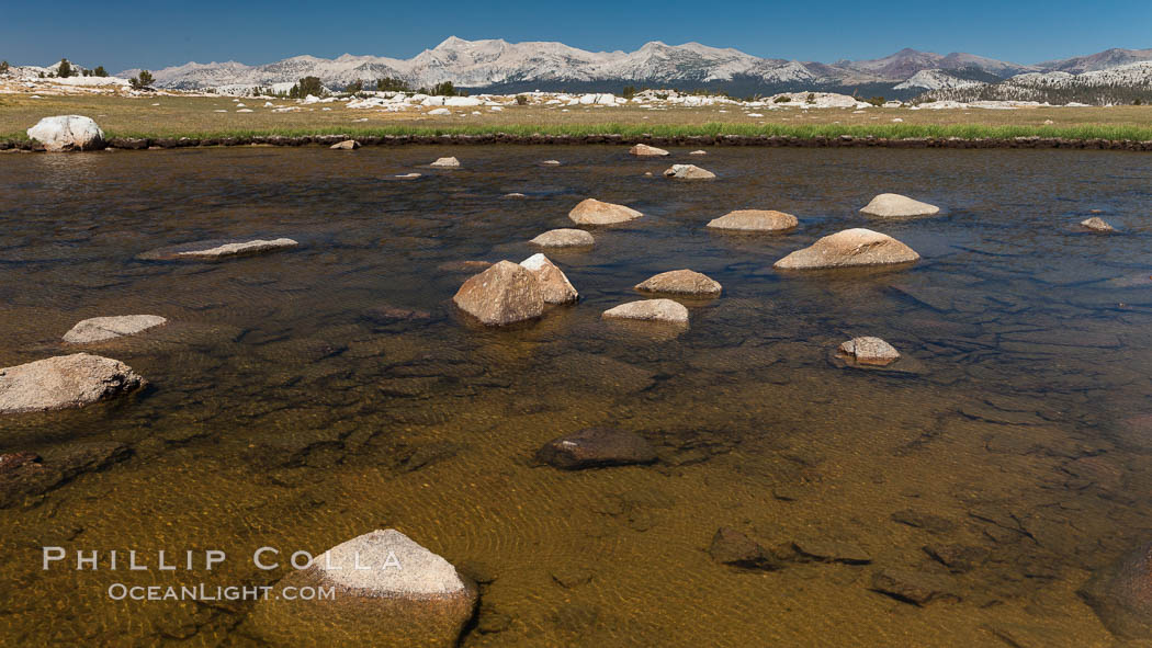 Small alpine tarn pond, in grassy meadow near Lake Evelyn, in Yosemite's beautiful high country, late summer. Yosemite National Park, California, USA, natural history stock photograph, photo id 25777