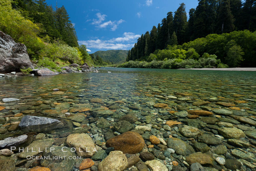 Smith River, the last major free flowing river in California.  Trees include the coast redwood, western hemlock, Sitka spruce, grand fir and Douglas fir. Jedediah Smith State Park, USA, natural history stock photograph, photo id 25852