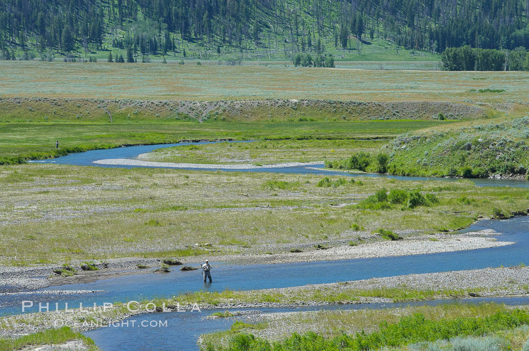 Fly fishermen fish along Soda Butte Creek near the Lamar Valley. Yellowstone National Park, Wyoming, USA, natural history stock photograph, photo id 13651