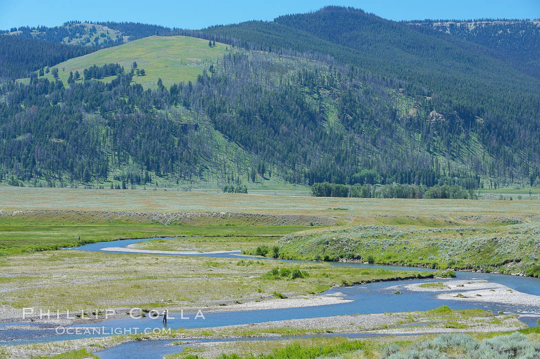 Flyfishermen fish along Soda Butte Creek near the Lamar Valley. Yellowstone National Park, Wyoming, USA, natural history stock photograph, photo id 13659