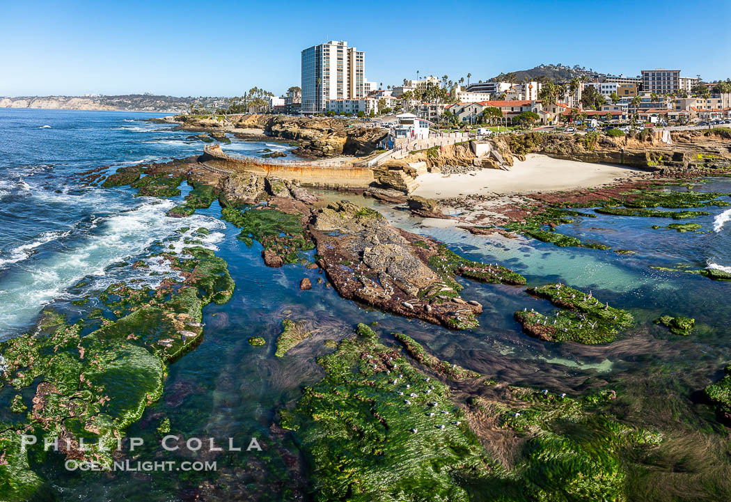 South Casa and Childrens Pool Reef Exposed at Extreme Low King Tide, La Jolla, California. Aerial panoramic photograph., natural history stock photograph, photo id 40710
