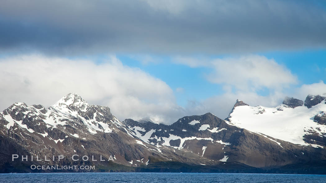 South Georgia Island coastline, showing the island's characteristic rugged topography.  56% of the island is covered by 161 glaciers, which have created numerous large bays and inlets that provide excellent habitat for marine animals and seabirds. Mountains meet the sea in steep-sided seacliffs covered with sparse vegetation.  The highest point on South Georgia Island is Mt. Paget at 2,915m., natural history stock photograph, photo id 24338