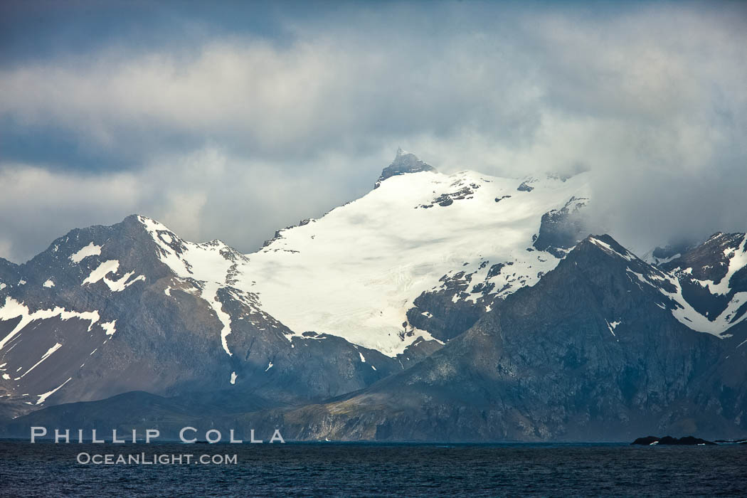 South Georgia Island coastline, showing the island's characteristic rugged topography.  56% of the island is covered by 161 glaciers, which have created numerous large bays and inlets that provide excellent habitat for marine animals and seabirds. Mountains meet the sea in steep-sided seacliffs covered with sparse vegetation.  The highest point on South Georgia Island is Mt. Paget at 2,915m., natural history stock photograph, photo id 24342