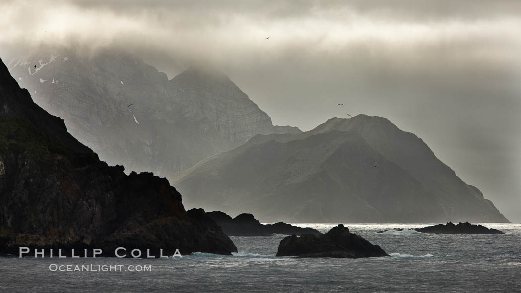 South Georgia Island coastline, showing the island's characteristic rugged topography.  56% of the island is covered by 161 glaciers, which have created numerous large bays and inlets that provide excellent habitat for marine animals and seabirds. Mountains meet the sea in steep-sided seacliffs covered with sparse vegetation.  The highest point on South Georgia Island is Mt. Paget at 2,915m., natural history stock photograph, photo id 24363