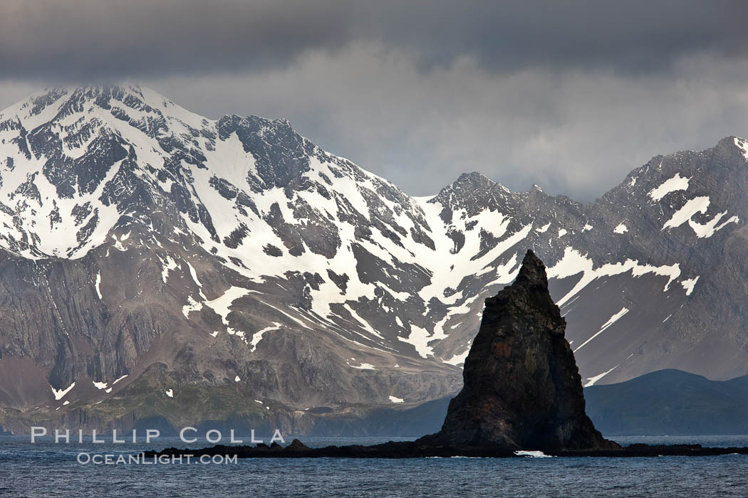 South Georgia Island coastline, showing the island's characteristic rugged topography.  56% of the island is covered by 161 glaciers, which have created numerous large bays and inlets that provide excellent habitat for marine animals and seabirds. Mountains meet the sea in steep-sided seacliffs covered with sparse vegetation.  The highest point on South Georgia Island is Mt. Paget at 2,915m., natural history stock photograph, photo id 24321