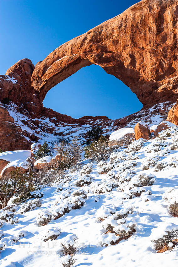 South Window, eastern face, sunrise, winter. Arches National Park, Utah, USA, natural history stock photograph, photo id 18154