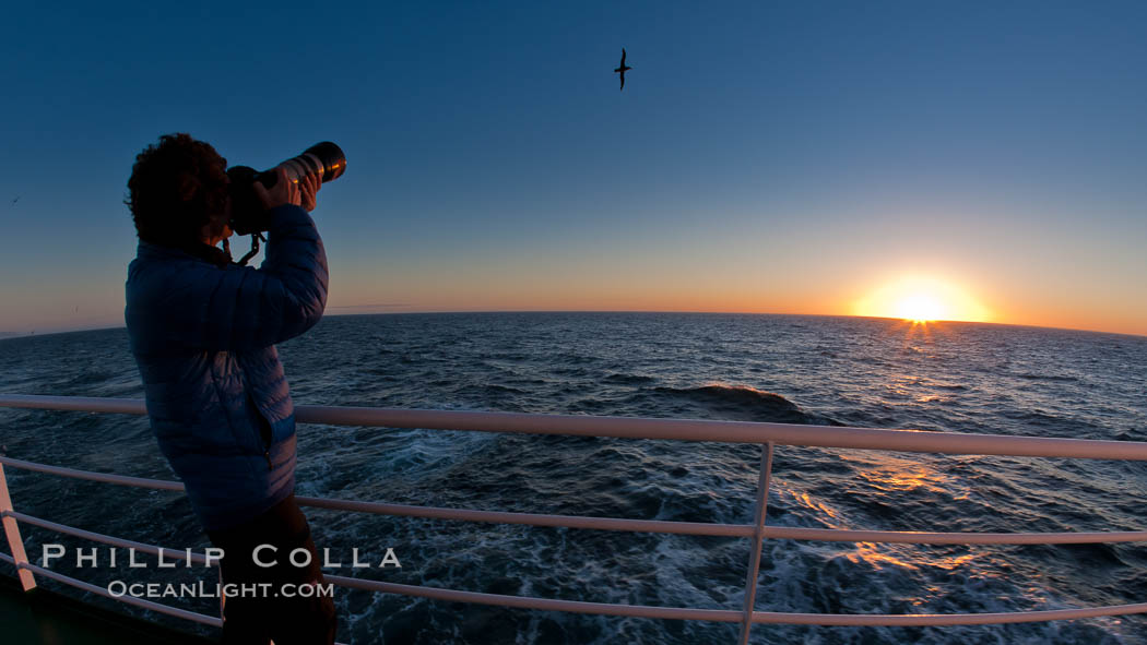 Photographing takes pictures of passing seabirds at sunset, from the deck of the M/V Polar Star. Falkland Islands, United Kingdom, natural history stock photograph, photo id 23967
