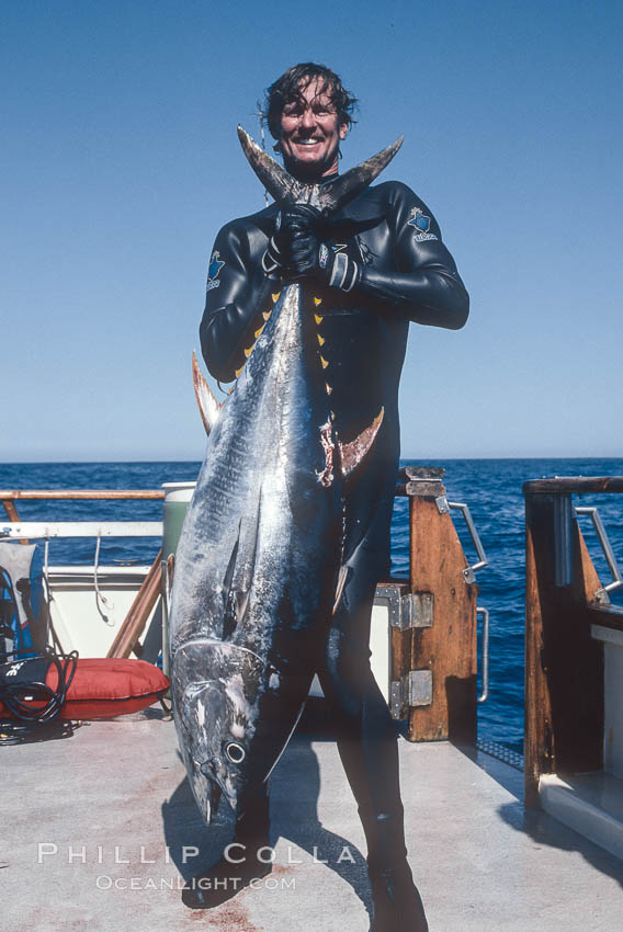 Scott Campbell and yellowfin tuna. Guadalupe Island (Isla Guadalupe), Baja California, Mexico, natural history stock photograph, photo id 02338