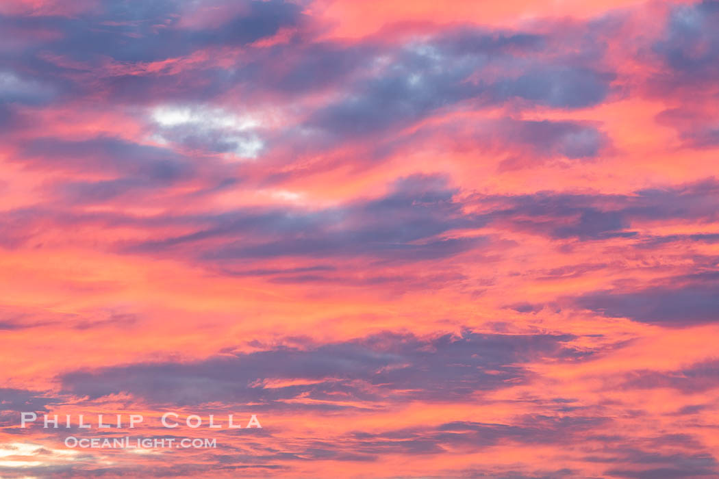 Spectacular Red and Magenta Sunrise Cloud Colors, San Diego. California, USA, natural history stock photograph, photo id 38918