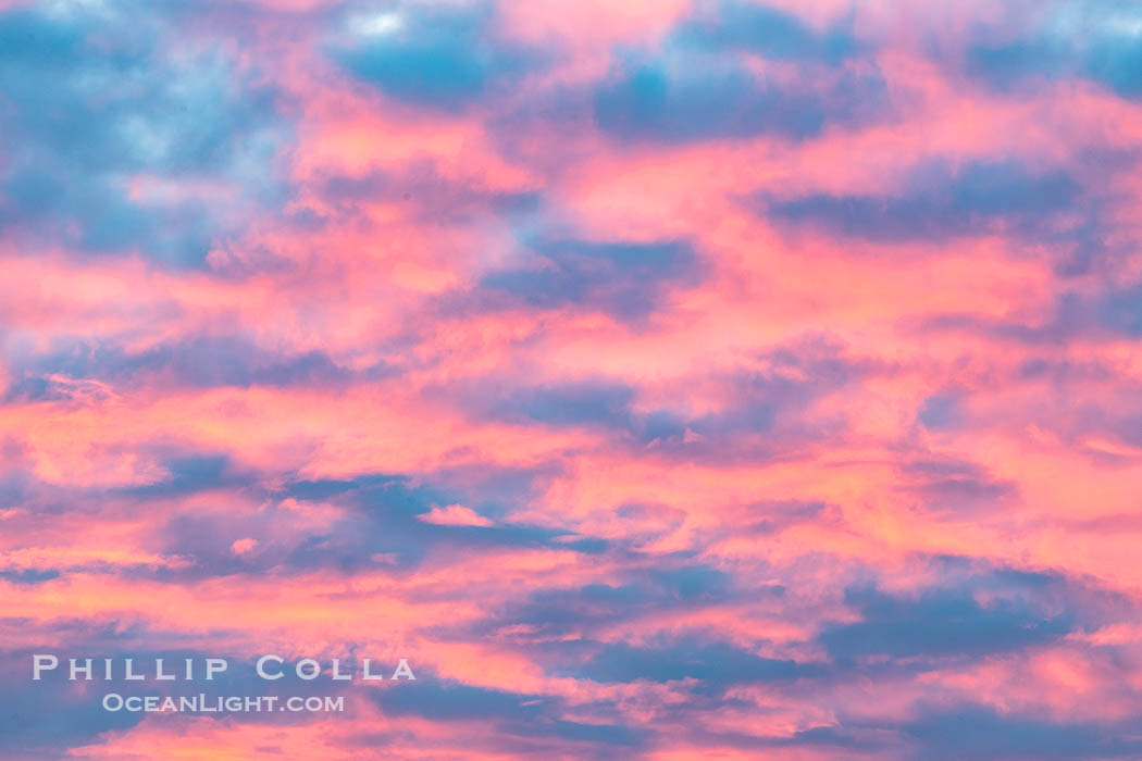 Spectacular Red and Magenta Sunrise Cloud Colors, San Diego. California, USA, natural history stock photograph, photo id 38919