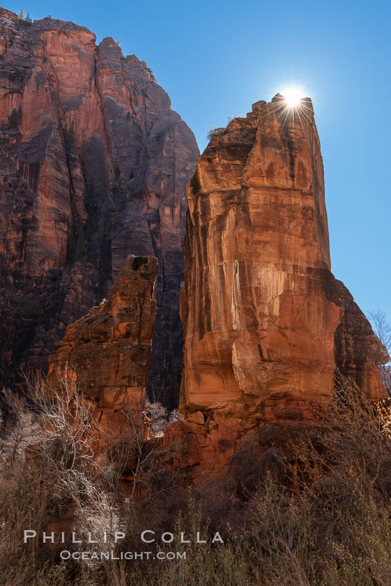 The Pulpit in the Temple of Sinawava, backlit by sun, early morning, Zion Canyon, Utah. Zion National Park, USA, natural history stock photograph, photo id 37796